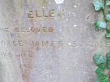 image of grave number 557033